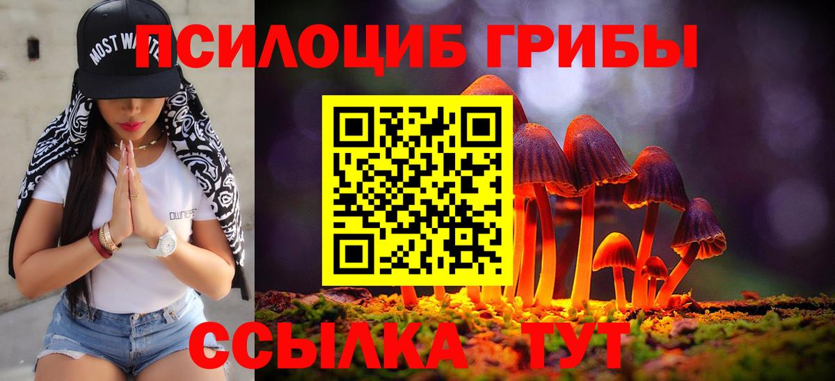 Псилоцибиновые грибы Psilocybine cubensis Богданович
