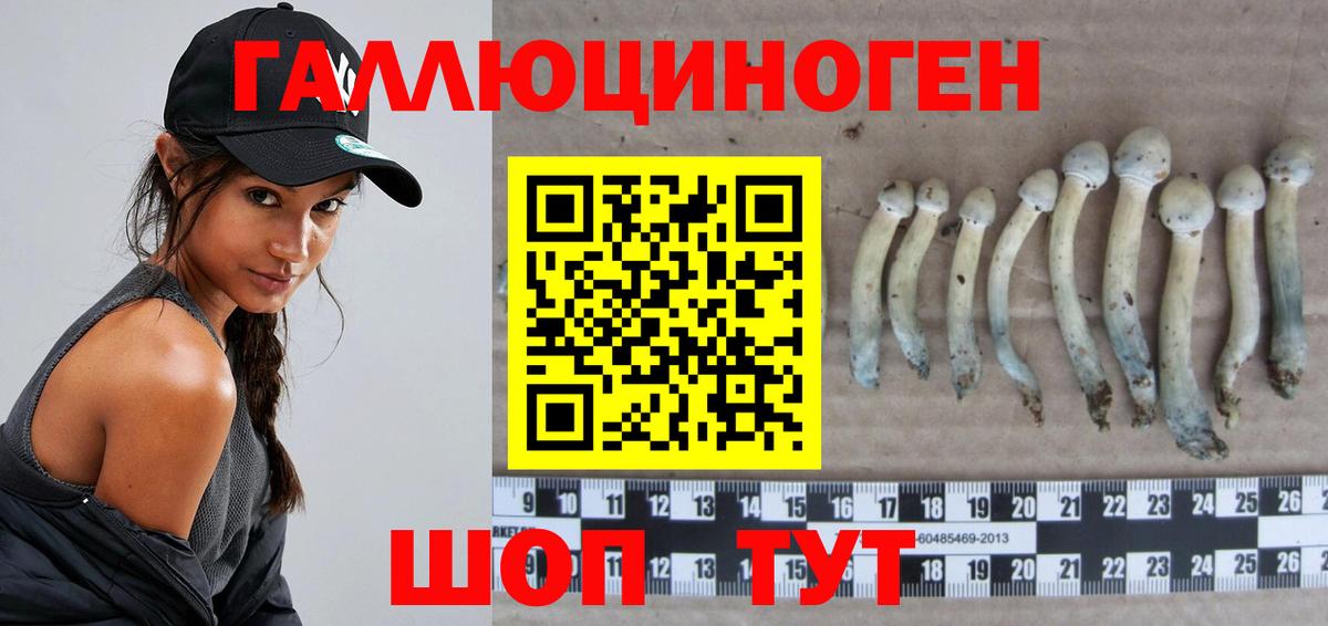 Богданович  Галлюциногенные грибы мухоморы  Вход с VPN  Галлюциногенные грибы ЛСД 